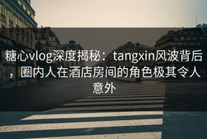 糖心vlog深度揭秘：tangxin风波背后，圈内人在酒店房间的角色极其令人意外