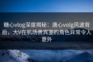 糖心vlog深度揭秘：唐心volg风波背后，大V在机场贵宾室的角色异常令人意外