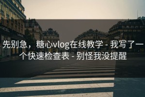 先别急，糖心vlog在线教学 - 我写了一个快速检查表 - 别怪我没提醒