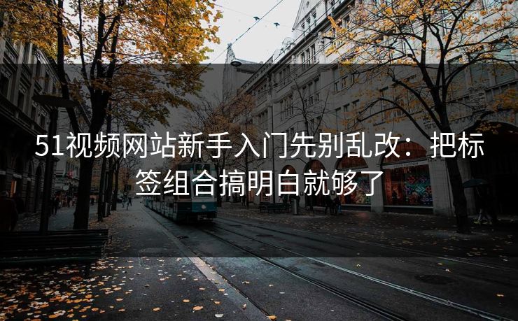 51视频网站新手入门先别乱改：把标签组合搞明白就够了